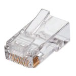 BOTE CON 100P ZAS DE PLUG-  RJ45- CAT6- QIAN NW6100- 50 UNIDADES